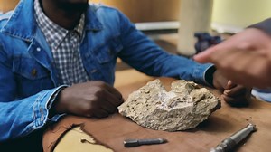 Find out how fossils are separated from breccia blocks, prepared, molded and casted from Sterkfonein caves.🔨💀🦴🪨#FossilFriday | Maropeng – Cradle of Humankind