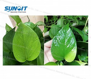 [Hot Item] Super Spreading Surfactant Lowers The Aqueous Surface Tension