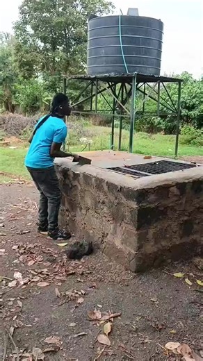 Davie passionate (@davie.passionate)’s videos with original sound - Davie passionate