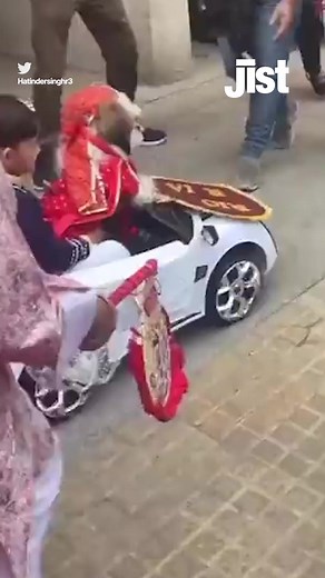 An Indian family organized a big fat Indian wedding for their pet dogs and performed all the rituals. What are your thoughts on this? #petdogs #indianfamily #wedding #india #dogwedding | Jist