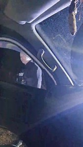 20K views · 193 reactions | WALBRAN UPDATE  Dec 11 - 2 arrested as...