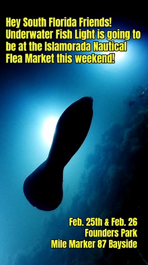 Underwater Fish Light on Reels