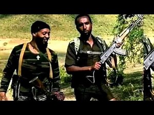 amazing new kererto (