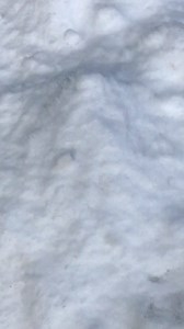 Too hot to handle! Melt away your obstacles with Hydroxycut Hardcore Next Gen! Use the code MTEC20 and get 20% off at Supps R Us » [http://bit.ly/2EKyhNa] | MuscleTech