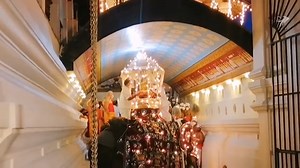 2021 අවසන් මහා රන්දෝලි පෙරහැරට නැදුන්ගමුවේ ඇතු සූදානම් වීම හා සඳගල බහින මොහොත #esalaperahera2021 #ඇසළපෙරහැර2021 Video Credits: Sanka Indranath | Kandy Esala Perahera 2K25