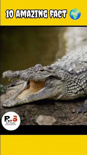 10 amazing fact 🌍।। #shorts ,#youtubeshorts ,#facts