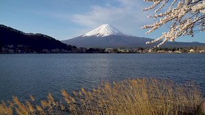 Mtfuji Cherry Blossomjapan Springtime Seasonfuji Snow: стоковое видео (без лицензионных платежей), 1009928519 | Shutterstock