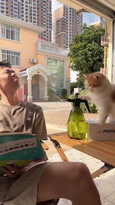 Bad Cat Meowing: Wr Pangina Pangani Moyo