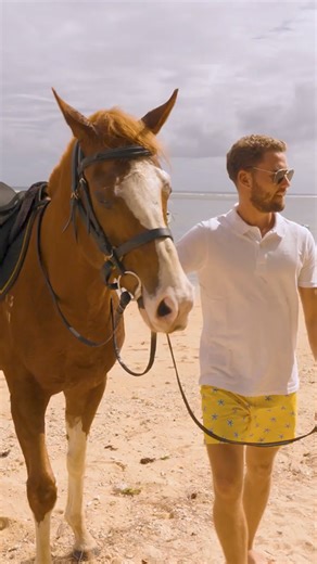 The perfect blend of love and adventure at the Oberoi Beach Resort, Mauritius.❤️⁠⁠Serenaded by the gentle waves and mesmerized by the breathtaking views of Turtle Bay. ⁠⁠#oberoimauritius #oberoimoments #islandlife #love #swimmingwithhorses #beautifulhotels #beautifulresorts #visitmauritius #bestplacestogo | The Oberoi Beach Resort, Mauritius