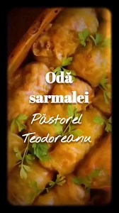 4.2K views · 43 reactions | ODĂ SARMALEI de Pastorel Teodoreanu, prezentată de #maidemult - narator: Vitalie Bichir ##retetevechi #poezie #poezieclasica #cultura #poetiuitat #tara #taran #datini #traditii #obiceiuri #romania #romaniamea #romaniafrumoasa #Moldova | Radu Gheorghe | Facebook