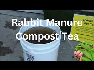 Rabbit Manure Tea For Your Garden