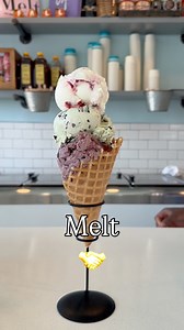 Ice cream & yap? 🍦🤪 Tag your bestie! #CraveMelt #NorthMyrtleBeach #SpringTime #homemadeicecream | Melt