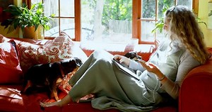 Mature Woman Playing Her Dog Living Stock Footage Video (100% Royalty-free) 1010749031 | Shutterstock