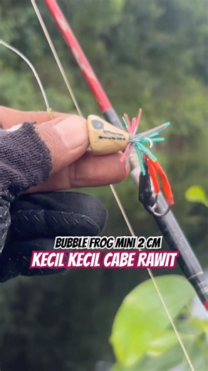 AMIS BARANG TU…// CASTING GABUS - SHORTS