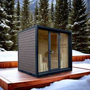 [Hot Item] Outdoor Container Sauna House for Backyard