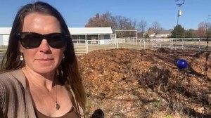 Check out this video made by Southeast Pollinator Census Coordinator Becky Griffin and Bee Friendly Gardening Manager Sara Wittenberg on pollinator conservation in the winter! #Pollinators #PollinatorConservation #Bees #SouthEast #CommunityScience #Gardening | The Pollinator Partnership