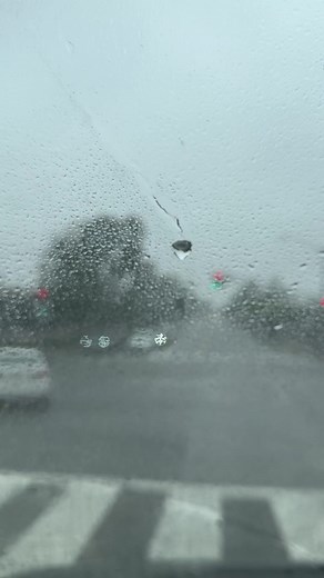 Escape the Weather this Weekend 🏔 All Dads Ride FREE ✅ #thisisbaldy #hike #hiking #socal #mtbaldy #mountains #fathers #fathersday #yuccablossom | Mt Baldy Resort