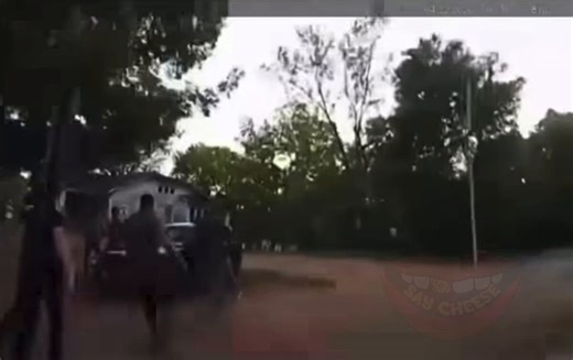 Alabama man, bitten by K-9, bites dog back during drug task force operation