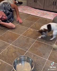 11K views · 1.4K reactions | Ryan and Daisy here! Pushing that ball! At Mason Dixon K9 we will literally get on your dogs level and do whatever it takes to make them feel comfortable and confident! We love your dogs like our own and we are not afraid to look a little silly with them! #balancedtrainer #marylanddogtrainer #mdk9 #dogtrainer #localdogtrainer #mdk9training #dogboardandtrain #mdk9boarding | Mason Dixon K9 | Facebook