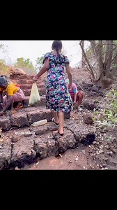 कालवा Oyster Kalava From Devgad मिठमुंबरी देवगड. काही ठिकाणी कालवांची शेती (Oyster Farming) करतात. 📍 Mithmumbari, Devgad Sindhudurg district (Kokan) India | Archana Gaonkar Photography