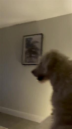 ImogenPower on TikTok