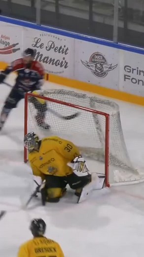 4.8K views · 1.1K reactions | #lesdragonsderouen #rouen #hockey #goalie #angers credit to the creators TikTok heyits.aury | Vsaworld.com | Facebook