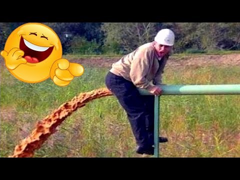 Funny moments 😄 Dorel 😄 Try not to laugh 😄 Die laughing 😄 Funny cats 😄 Read the description