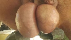 Laster meine beringten Eier