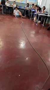 3.1K views · 38 reactions | Ripple interference occurs when waves meet: aligned peaks and troughs strengthen waves (constructive interference), while peak-trough alignment weakens them (destructive interference), creating patterns of varied amplitudes (ripples) | Physics is Fun 2 | Facebook