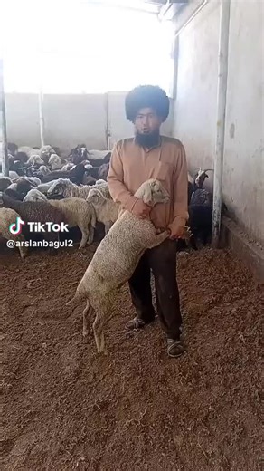 azik on TikTok