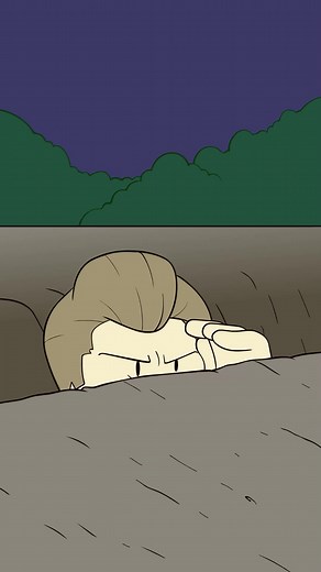 2.7K views · 82 reactions | The Swedish Meteor #history #weirdhistory #storytime #historybuff #kingcharlesxii #sweden | Extra History | Facebook