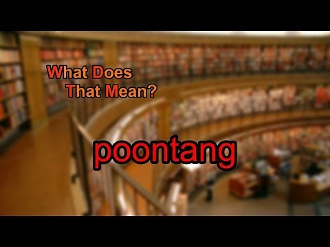 What does poontang mean?