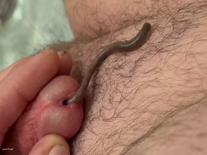 Worm goes deep