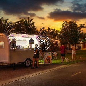 [Hot Item] Concession Trailer Mobile Food Kitchen Gas Line Motorcycle Food Truck for Sale