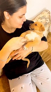 22K views · 1.3K reactions | My cute panda #puppy #puppies #puppylove #puppylovers #puppylife #dogmother #dogmom #dog #dogs #dogfood #doglife #doglover #doglovers #supportus #blessings #love #reels #viral #instareels #insta #instagram #fb #fbreels #fbreelsvideo #fbreelsfypシ゚viral | Bezubaanjaan1517 | Facebook