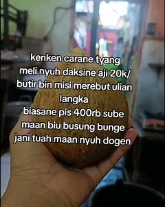 Bali Channel on Reels