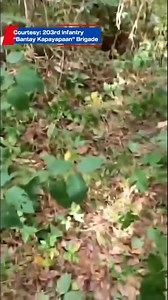 Phil Army Save the Students From the NPA Communist Party No to CPP NPA NDF Support NTF -ELCAC Matagumpay na Nasagip ng Phil Army kaninang 2pm January 8 2026 ang Youth member ng ANAKBAYAN -USA na si Chantal Aninoche 24 year old Fil.Am Graduate ng BD Psychology mula sa University of Maryland Baltimore County (UMBC) na kasama ng nasawing Estudyante ng Pamantasan ng Lungsod ng Maynila na si Jerlyn Doydora sa naganap na engkwentro sa Pagitan ng PHil.Army at Terroristang NPA noong Jan 1 2026 sa Sitio 