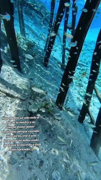 Taxi Flores Tikal on TikTok