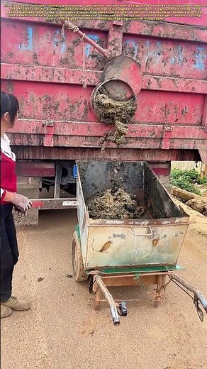 Farm Efficiency: How Farmers Turn Waste into Valuable Resources