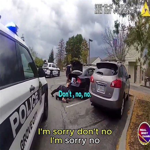 72K views · 1.1K reactions | No amount of evidence will ever persuade an idiot | Bachelor Mama | Facebook