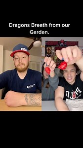 149K views · 3.1K reactions | Eating a Dragons Breath Pepper! #dragonsbreath #spicy #hotpepper #fail #epicfail #facebookviral #spicychallenge #spicychallenges #eatingahotpepper #spicyfood #spicy | Craving Capsaicin | Facebook