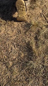 I’m a woman with many skills 😉 #countrygirl #texas #fishing #archery #archeryhunting | Chelsea Dodd