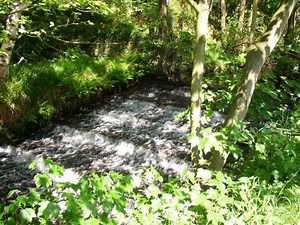 Black Brook, West Yorkshire - Alchetron, the free social encyclopedia