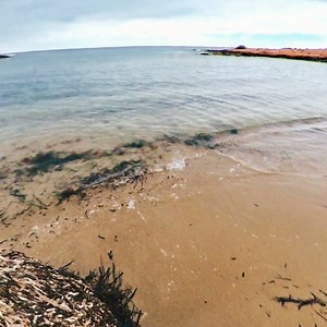 Hoy paseito por Cala Ferris. #Torrevieja #TodoTorrevieja | Todo Torrevieja