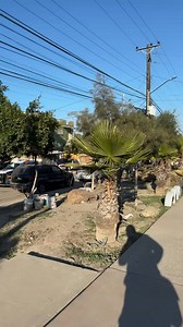 30K views · 209 reactions | Tras la ejecución de una mujer reportan personas detenidas en Infonavit Latino | Tijuana Está Alerta Noticias | Facebook