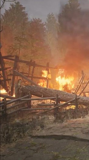 The Thirty Years' War Explained