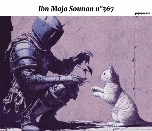 pspspps 🌹 #islam #sunnah #coran #chat #chaton #hadith #sahih #ytb #viral #meme #saoudiarabia🇸🇦 #muslim #saoudiarabia🇸🇦 #chat #mood