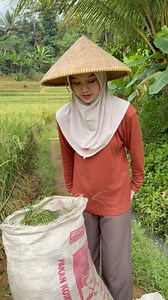 Neng Bule Nyabit Rumput | Kang Rahmat Channel