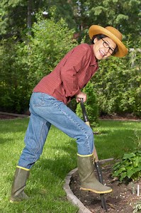 How to Plant Horstmann Blue Atlas Cedar