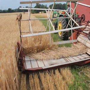 1.3M views · 2.2K reactions | Using a McCormick Wheat binder to bind wheat | Places Wonderful | Facebook